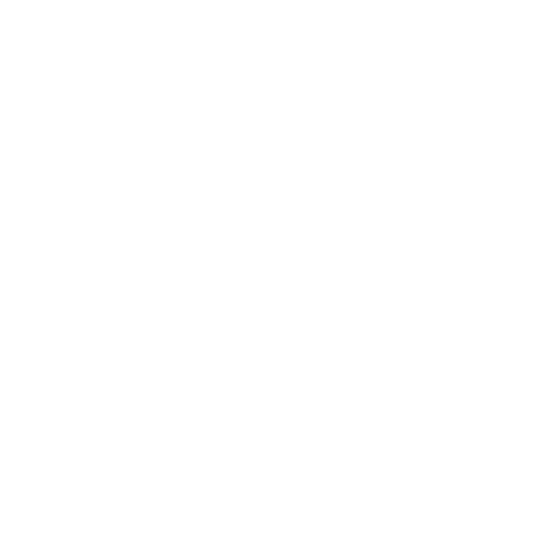 Expert Expert
